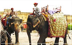 Elephant Festival, Jaipur Holaday Package