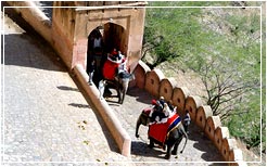 Elephant Ride, Jaipur