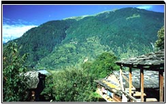 Manali